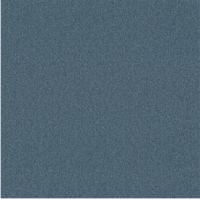 Attraction azuur 0725